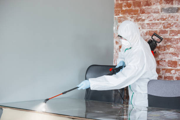 Biohazard Mold Removal in San Rafael, CA